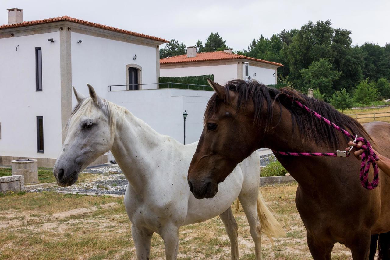 Vilamoure Hotel De Naturaleza Punxin Dış mekan fotoğraf